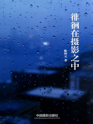 cover image of 徘徊在摄影之中